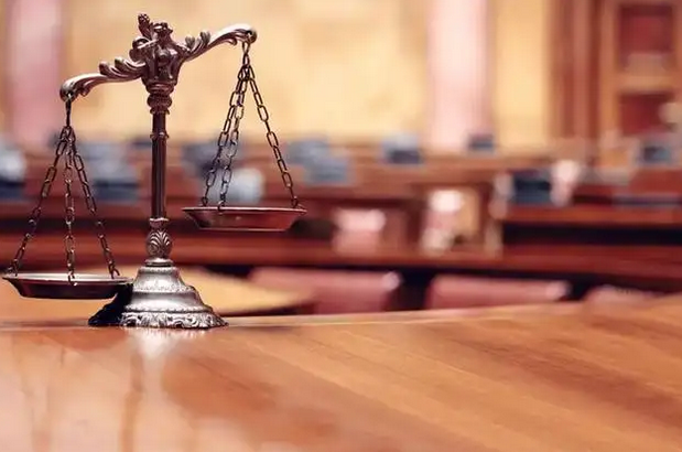 女子為尋刺激半夜開豪車偷菜被拘，盜竊他人財物怎么處罰